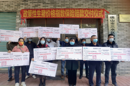 南華期貨：為鄉村振興和共同富裕貢獻力量