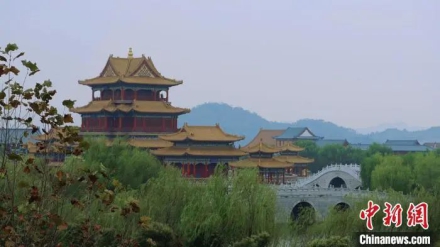 ​媒体聚焦丨浙江i米年终观察：新业态折射影视业发展新趋势